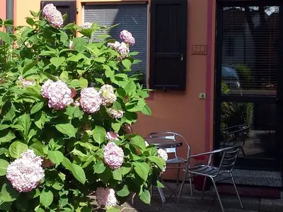 Ferienwohnung für 4 Personen in Isola Albarella 4/10