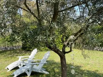 Ferienwohnung für 8 Personen in Isola Albarella 4/10