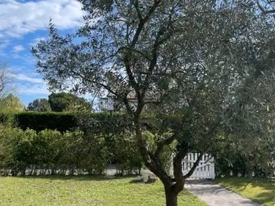 Ferienwohnung für 8 Personen in Isola Albarella 5/10