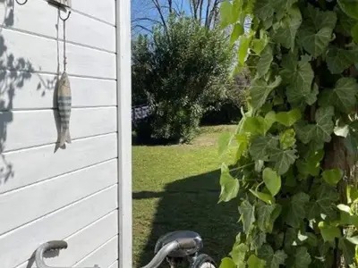 Ferienwohnung für 8 Personen in Isola Albarella 8/10