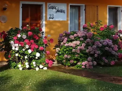 Ferienwohnung für 6 Personen in Isola Albarella 3/10