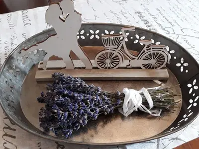 Ferienwohnung für 8 Personen (135 m²) in Isola Albarella 3/10