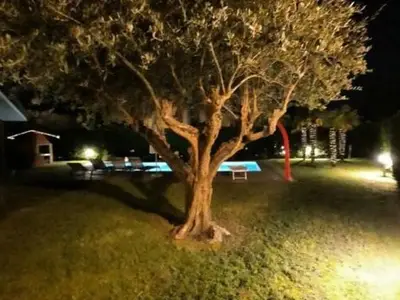 Ferienwohnung für 8 Personen (135 m²) in Isola Albarella 10/10