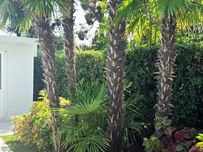 Ferienwohnung für 6 Personen in Isola Albarella 10/10