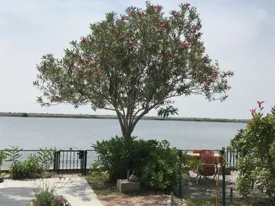 Ferienwohnung für 4 Personen in Isola Albarella 6/10