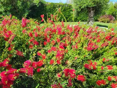 Ferienwohnung für 6 Personen in Isola Albarella 3/10