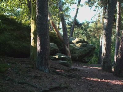 Umgebung Kletterfelsen