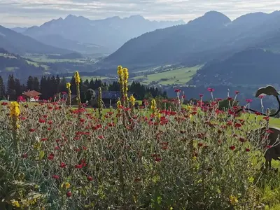 Ferienwohnung für 6 Personen (76 m²) in Itter 7/10