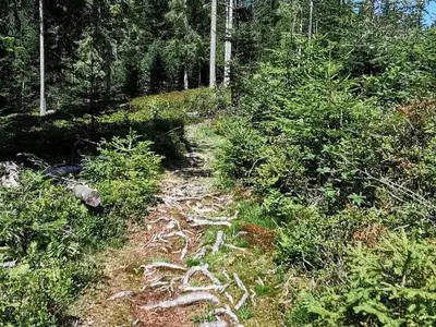 Ferienwohnung für 6 Personen (76 m²) in Itter 8/10