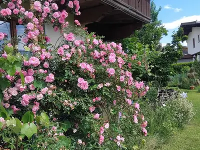 Ferienwohnung für 5 Personen (80 m²) in Itter 9/10