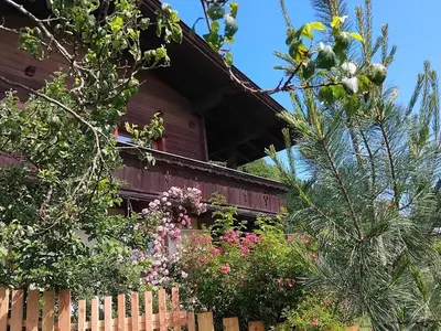 Ferienwohnung für 5 Personen (80 m²) in Itter 10/10