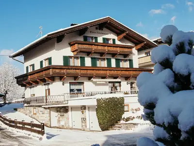 Haus Edelweiss im "Winter"