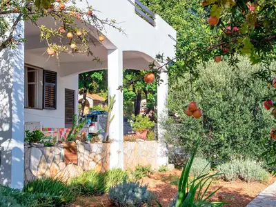 Ferienwohnung für 5 Personen (65 m²) in Ivan Dolac 8/10