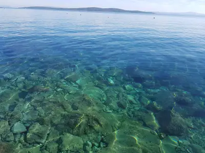 Ferienwohnung für 4 Personen (50 m²) in Ivan Dolac 10/10