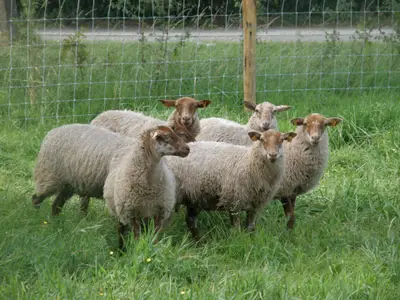 Bild 9