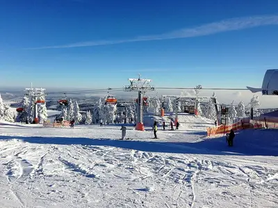 AreaWinter5KM