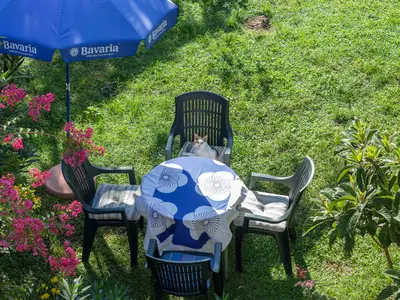 Ferienwohnung für 4 Personen (50 m²) in Jadranovo 5/10