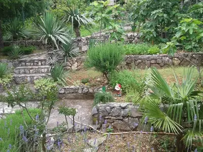 Ferienwohnung für 3 Personen (30 m²) in Jadranovo 6/10