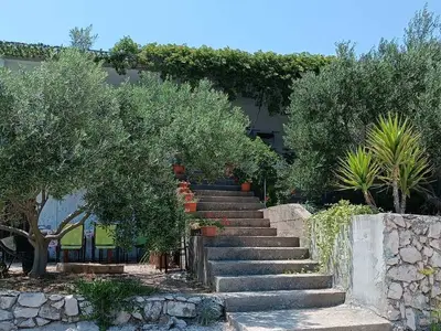 Bild 9