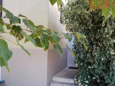 Ferienwohnung für 2 Personen in Janjina 2/10