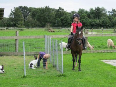 Ponyreiten für Kinder, Ferienwohng. Annemarie Clausen