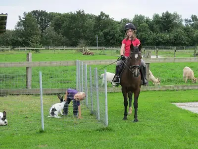 Ponyreiten für Kinder, Ferienwohng. Annemarie Clausen