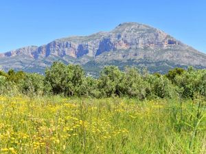 23545139-Ferienwohnung-2-Jávea-300x225-3