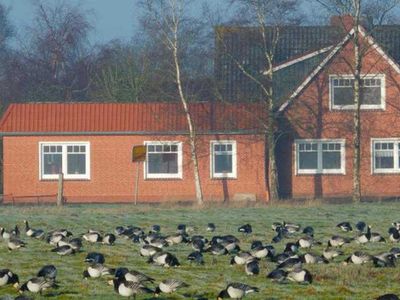 Ferienwohnung für 7 Personen (90 m²) in Jemgum 10/10