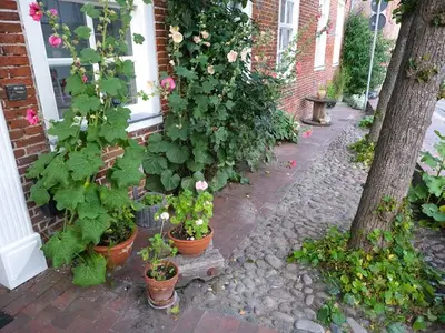 Ferienwohnung für 4 Personen (90 m²) in Jemgum 6/10