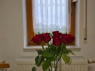 Wohnbereich