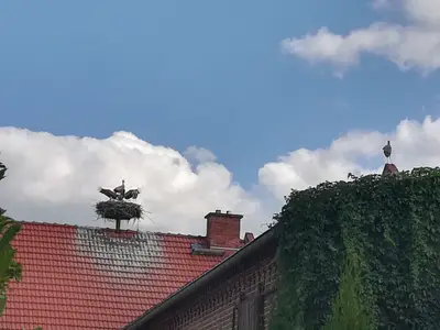 Ferienwohnung für 4 Personen (52 m²) in Großwulkow 6/10