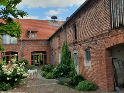 Ferienwohnung für 4 Personen (52 m²) in Großwulkow 7/10