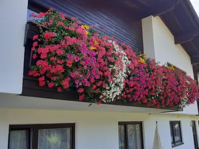 Ferienwohnung für 6 Personen (80 m²) in Jerzens 10/10