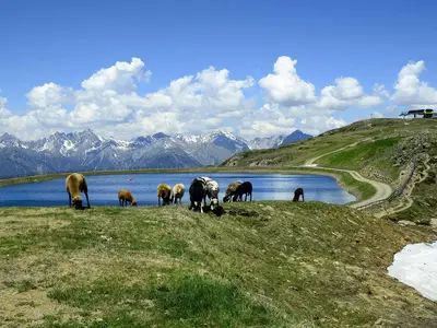 Ferienwohnung für 5 Personen (50 m²) in Jerzens 9/10