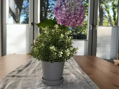 Ferienwohnung für 6 Personen (70 m²) in Jever 4/10