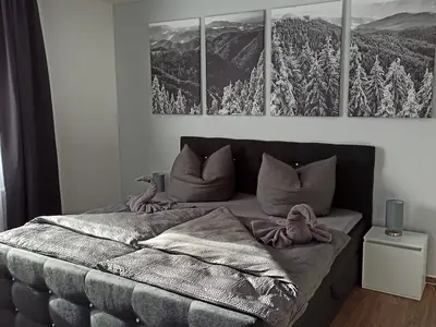 Ferienwohnung für 8 Personen (122 m²) in Johanngeorgenstadt 1/10