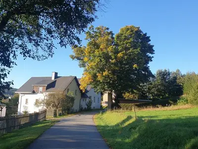 Ferienwohnung für 8 Personen (180 m²) in Jöhstadt 10/10