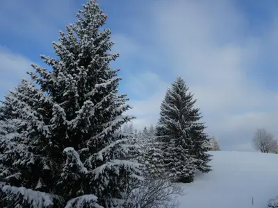 fewo-fruehauf-blick nach hinten