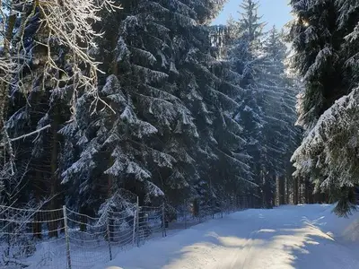 Ferienwohnung für 8 Personen (180 m²) in Jöhstadt 6/10