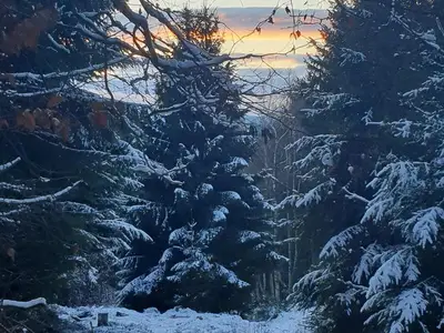Ferienwohnung für 8 Personen (180 m²) in Jöhstadt 7/10