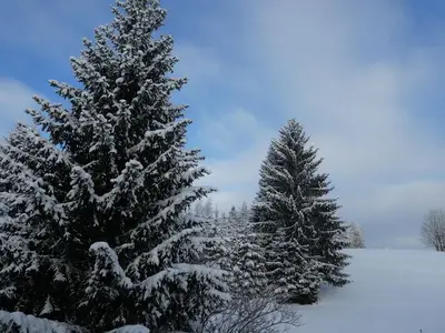 Ferienwohnung für 8 Personen (180 m²) in Jöhstadt 8/10