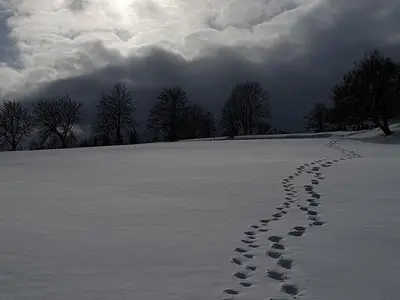 Ferienwohnung für 8 Personen (180 m²) in Jöhstadt 10/10