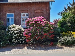 Ferienwohnung für 2 Personen (71 m²) in Jork