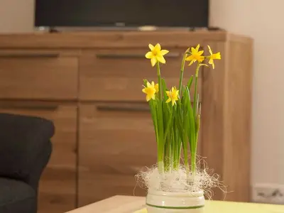 Ferienwohnung für 6 Personen (80 m²) in Jork 5/10