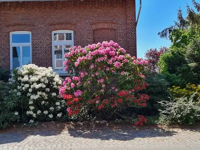 Ferienwohnung für 2 Personen (71 m²) in Jork 5/10