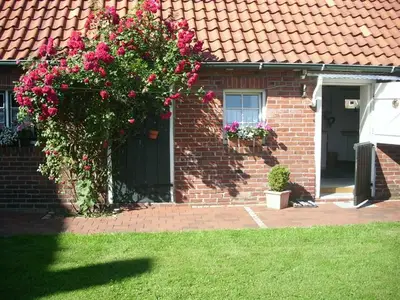 Ferienwohnung für 2 Personen (34 m²) in Jork 4/10