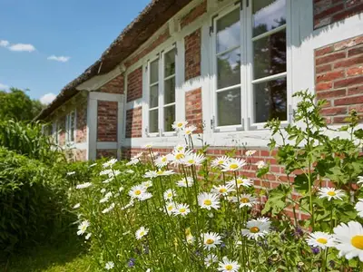 Ferienwohnung für 2 Personen (60 m²) in Jork 5/10