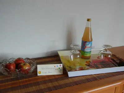 Ferienwohnung für 3 Personen (75 m²) in Jork 4/10