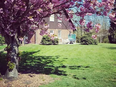 Ferienwohnung für 2 Personen (33 m²) in Jork 1/10