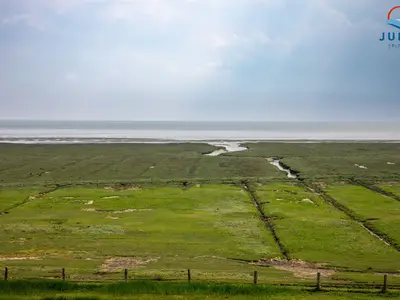 Landschaft